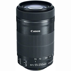 Canon EF S 55 250 f/4 5.6 IS STM Lens (8546B002)