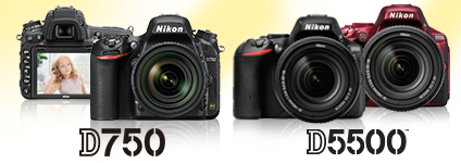 Nikon SLR