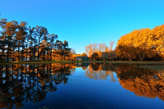 Fall Foliage Photography Tips - BuyDig.com Blog